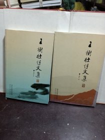 王树壮诗文集 上下