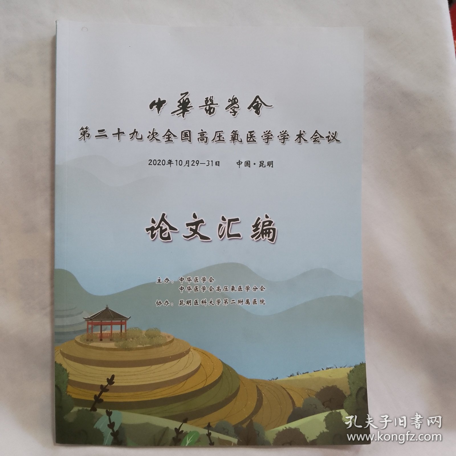 中华医学会第二十九次全国高压氧医学学术会议论文汇编(16开264页)