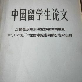 中国留学生论文——四十