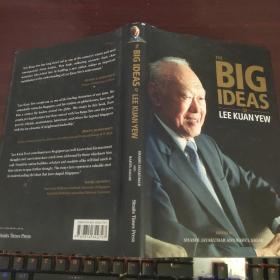 The Big Ideas of Lee Kuan Yew 论文集，和李光耀紧密合作过的人共同探讨他的思想（外文书）
