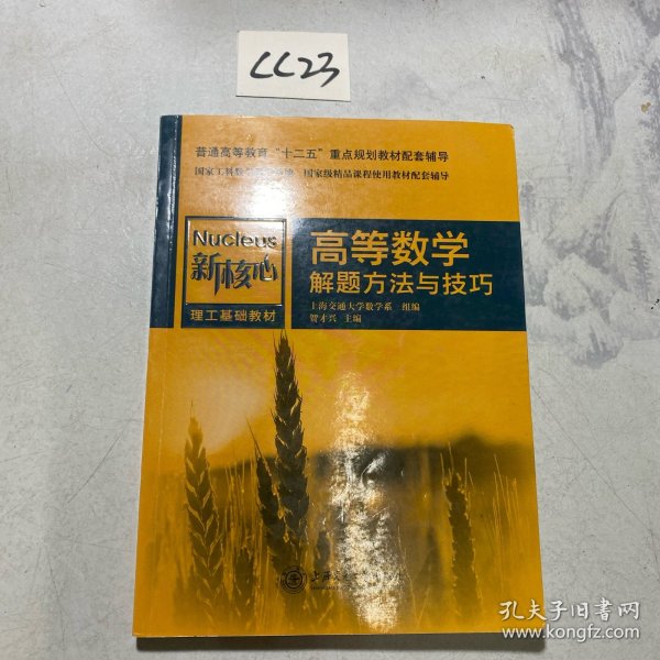 高等数学解题方法与技巧/新核心理工基础教材