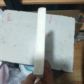 稚心 陆凉风