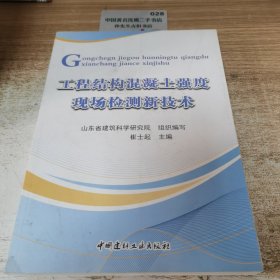 工程结构混凝土强度现场检测新技术H1914