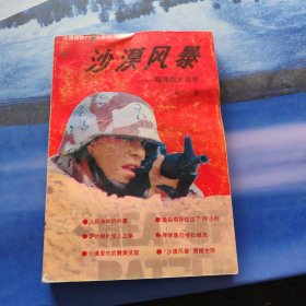 沙漠风暴 海湾战争实录