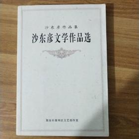 沙东彦文学作品选