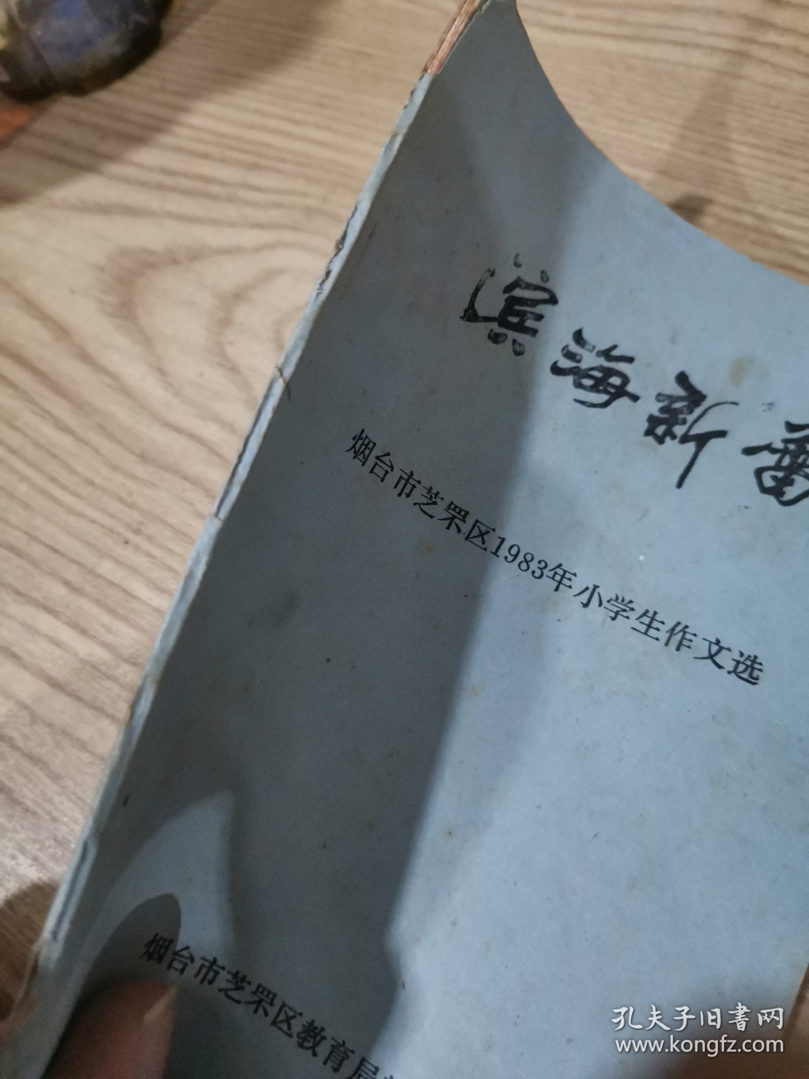 滨海新蕾-烟台市芝罘区1983年小学生作文选