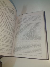 呼啸山庄（英文版）