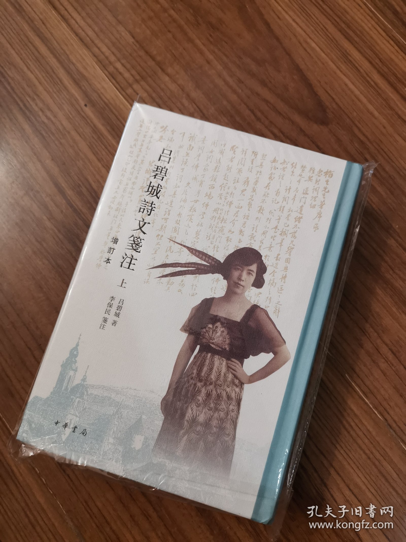 吕碧城诗文笺注 一版一印