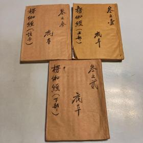 楞伽经（1-3
漂亮的手写蓝印纸复印本