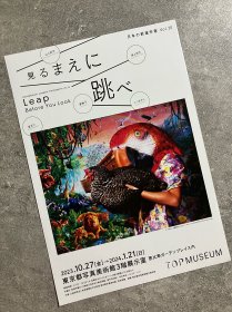 「現貨」美术馆官方 艺术展览小海报 宣传页 东京都写真美术馆：日本新锐写真家 vol.20—在你看到它之前就跳起來