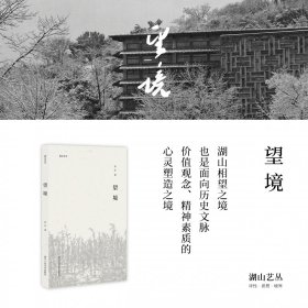 望境 美术理论 许江 新华正版