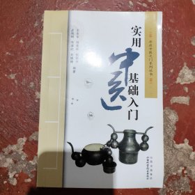 实用中医基础入门