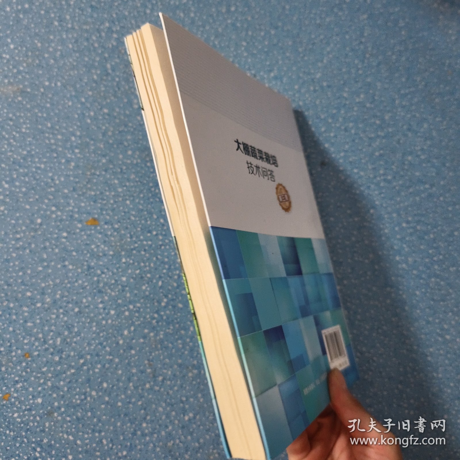 大棚蔬菜栽培技术问答（第三版）【正版现货】【无写划】【实拍图发货】【当天发货】