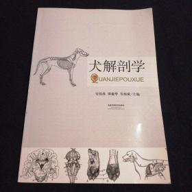 犬解剖学（看图拍）