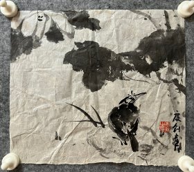 袁庆钊先生手绘国画作品 花鸟斗方29x32.8cm