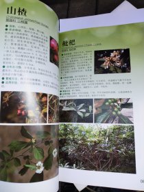 云台山木本植物图鉴