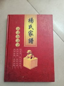 江苏扬氏家谱印阁堂大16开