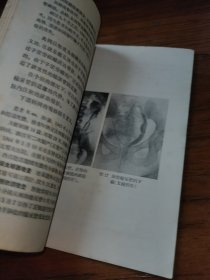 妇科泌尿学概论