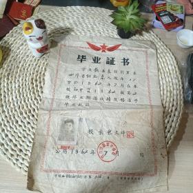 1962年毕业证书