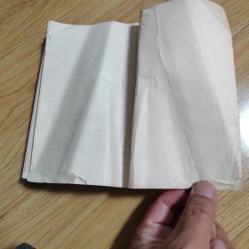 中州风雷（河南民兵革命斗争故事）