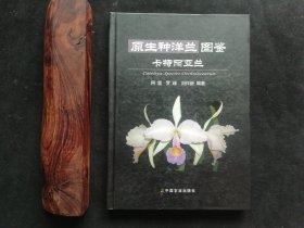 原生種洋蘭圖鑒：卡特麗亞蘭