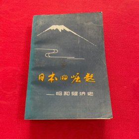 日本的崛起 昭和经济史