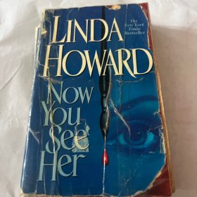 LINDA The New York Times Bestseller HOWARD Now Y See ler琳达《纽约时报》畅销书HOWARD Now Y Seeler