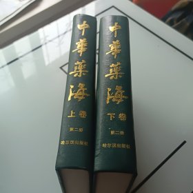 中华药海第二册上下