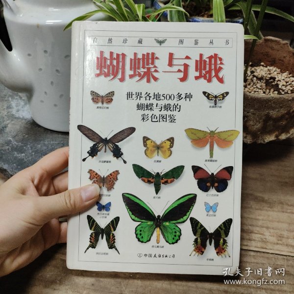 蝴蝶与蛾：全世界500多种蝴蝶的彩色图鉴【一版一印】