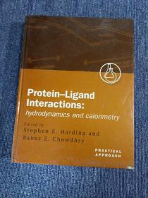 英文原版 Protein-Ligand Interactions: A Practical Approach Volume 1: Hydrodynamics and Calorimetry