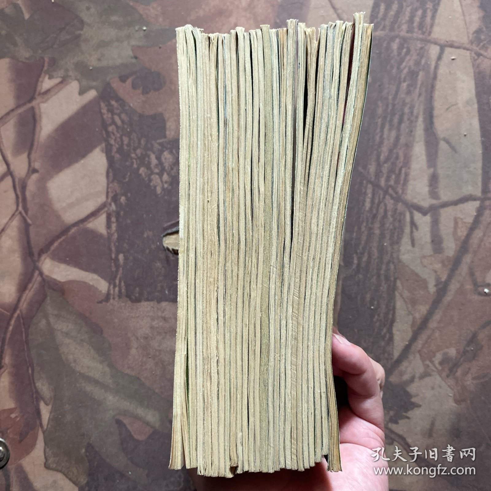 辽宁青年（1983年全24册）