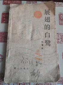 展翅的白鹭
