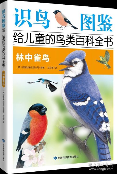 《识鸟图鉴，给儿童的鸟类百科全书：林中雀鸟》 400多种鸟类介绍，  1200多幅手绘图片，400多幅实景图片，真实还原鸟类世界！