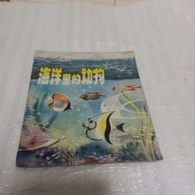 海洋里的动物