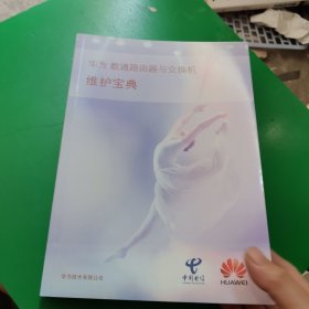 华为数通路由器与交换机维护宝典