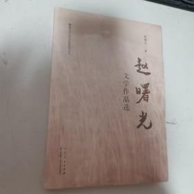 赵曙光文学作品选   全新未开封