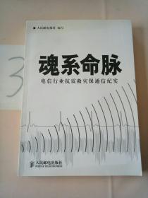 魂系命脉:电信行业抗震救灾保通信纪实。