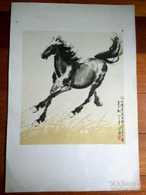 悲鸿画马集
