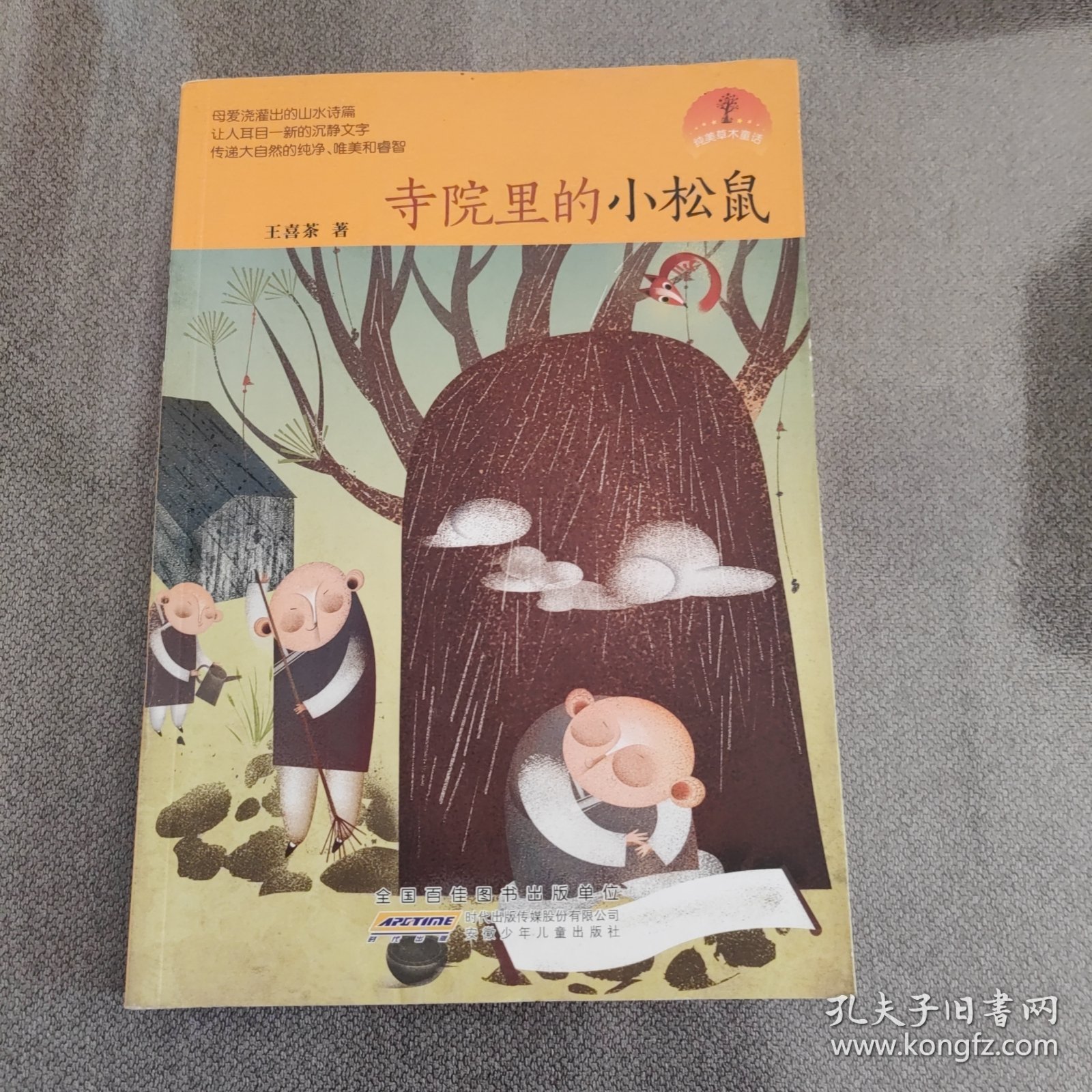 寺院里的小松鼠