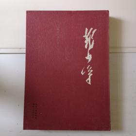 邓少峰金石书画作品集（此书硬精装带盒套，品好，价优）