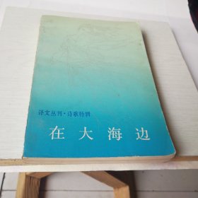 在大海边