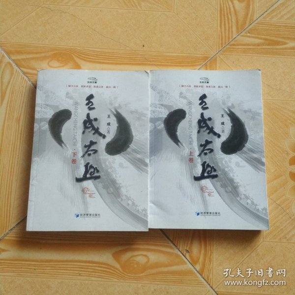 王成太极（下卷）
