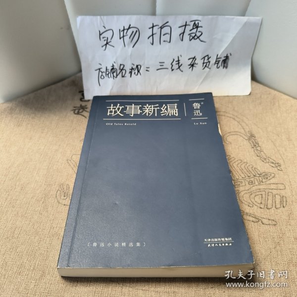 故事新编：鲁迅小说精选集