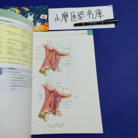 LWW解剖学精要图谱—头部和颈部（解剖学与影像学和临床知识的全面衔接）