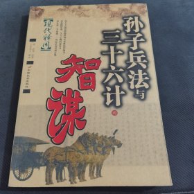 孙子兵法与三十六计的智慧