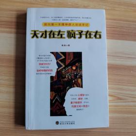 天才在左 疯子在右：国内第一本精神病人访谈手记