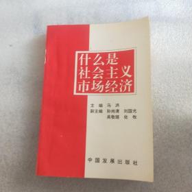 什么是社会主义市场经济
