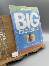 Big English 2 Workbook with AudioCD