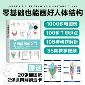 艺用解剖学入门