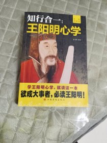 知行合一：王阳明心学（升级图解版）